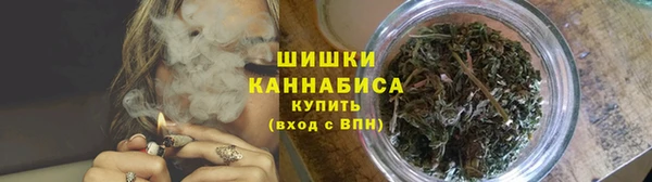 ГАЛЛЮЦИНОГЕННЫЕ ГРИБЫ Вяземский