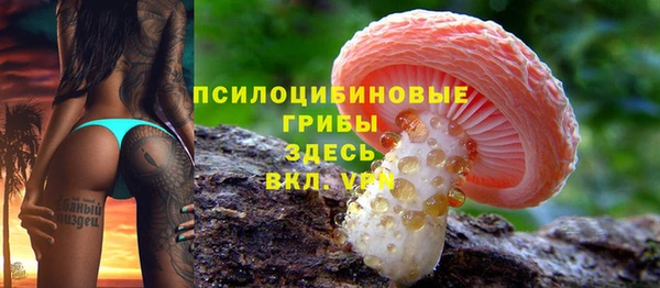 mdpv Горно-Алтайск
